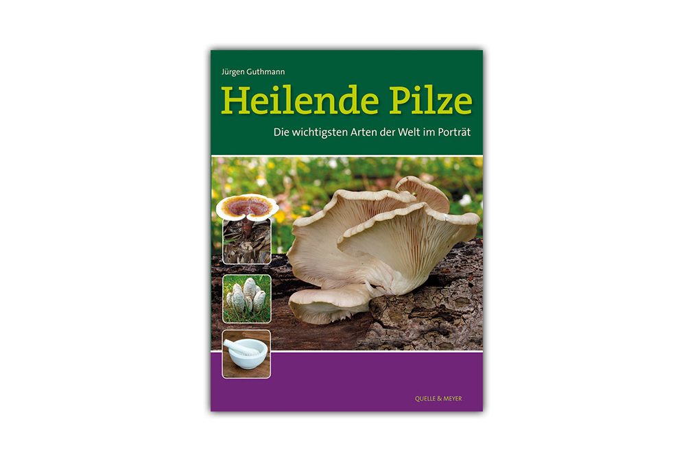 Neues Buch: Heilende Pilze – Die wichtigsten Arten der Welt im Porträt