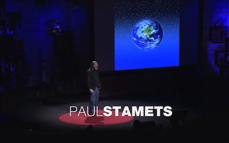 Neues Video: Paul Stamets über 6 Wege mit denen Pilze die Welt retten können