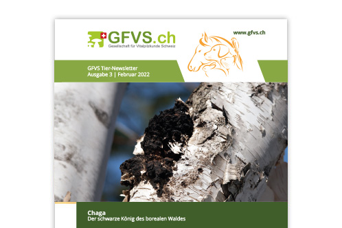 Tier-Newsletter 3 für Mitglieder erschienen