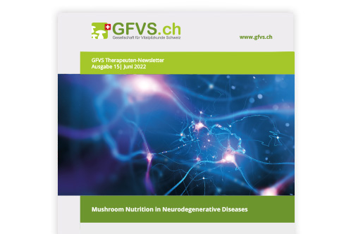Therapeuten-Newsletter 15