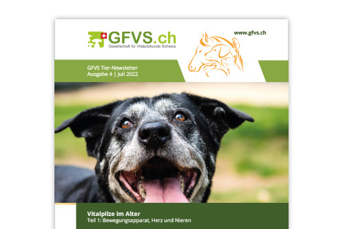 Tier-Newsletter 4 für Mitglieder erschienen