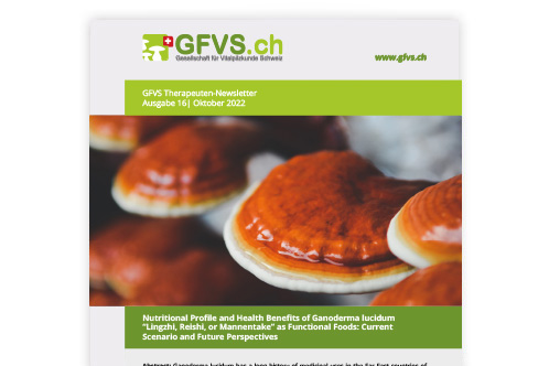 Therapeuten-Newsletter 16 für Mitglieder erschienen