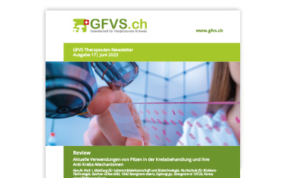Therapeuten-Newsletter 17 für Mitglieder erschienen
