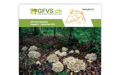 Tier-Newsletter 7 für Mitglieder erschienen