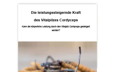 Therapeuten-Newsletter 19 für Mitglieder erschienen