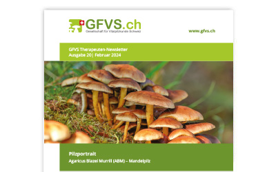 Therapeuten-Newsletter 20 für Mitglieder erschienen