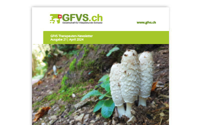 Therapeuten-Newsletter 21 für Mitglieder erschienen