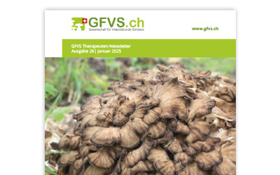 Therapeuten-Newsletter 26 für Mitglieder erschienen