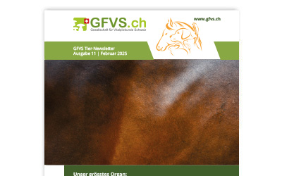 Tier-Newsletter 11 für Mitglieder erschienen