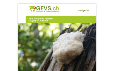 Therapeuten-Newsletter 27 für Mitglieder erschienen