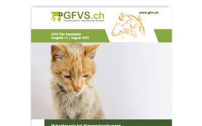 Tier-Newsletter 12 für Mitglieder erschienen