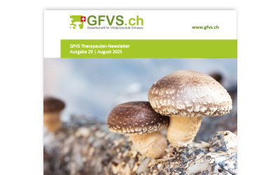 Therapeuten-Newsletter 29 für Mitglieder erschienen