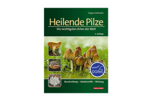 Heilende PIlze