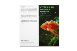 GFVS Flyer 